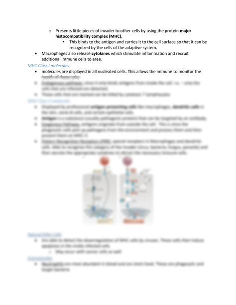 Afbeeldingsresultaten voor Types of Immunity MCAT