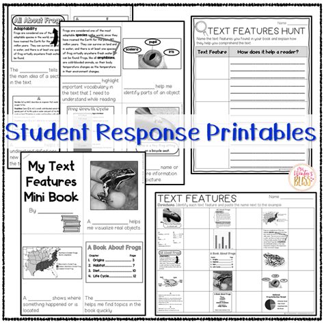 Image result for Identifying Text Features Worksheet