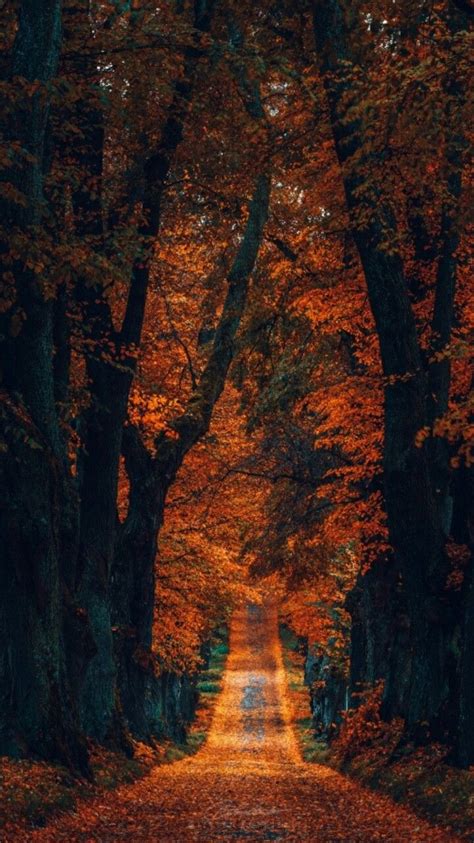 Image result for Beautiful Fall Lock Screen