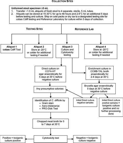 Image result for Cdiff Testing Decision Tree CDC