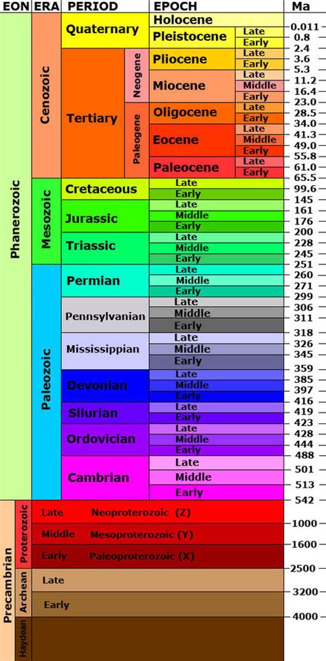 Image result for Geologic Time Scale Humans