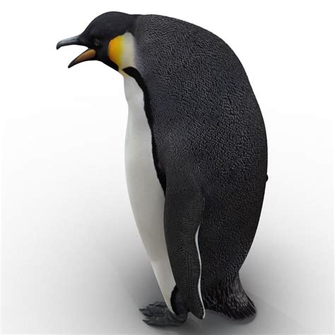 JavaFX Penguin に対する画像結果