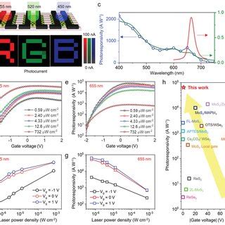 Schematic Transitor Array に対する画像結果