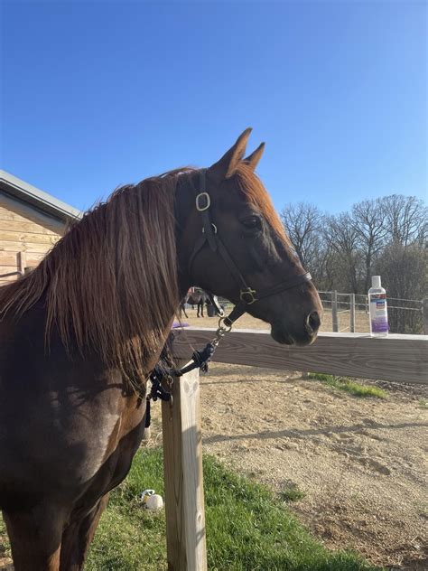 Image result for Facebook Loading Interface Image