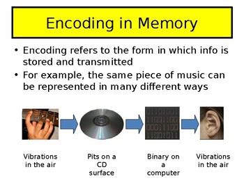 Image result for Memory Encoding Cartoon Illustration