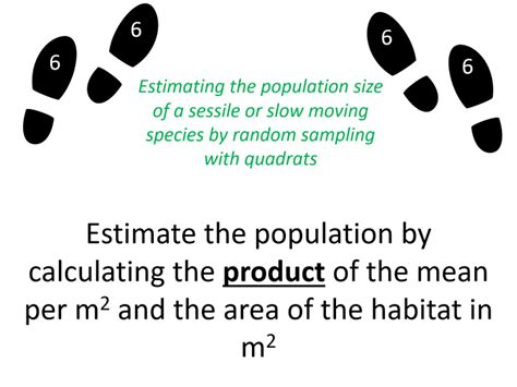 Afbeeldingsresultaten voor Random Distribution in Biology Examples