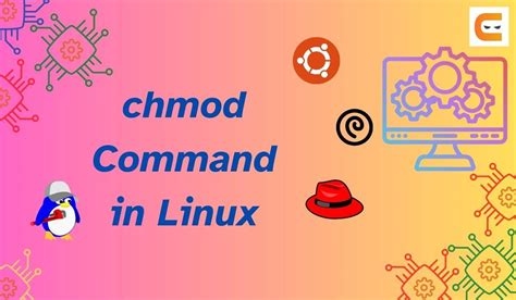 Chmod Syntax Linux-साठीचा प्रतिमा निकाल