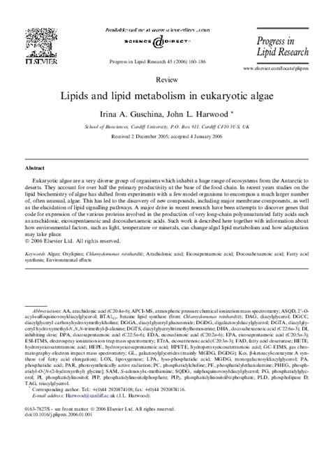Lipids Algae に対する画像結果