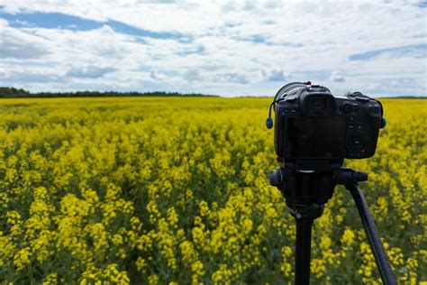 Image result for Field Photography