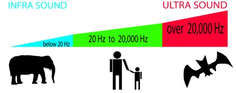 Image result for Spectrum of Sound Waves