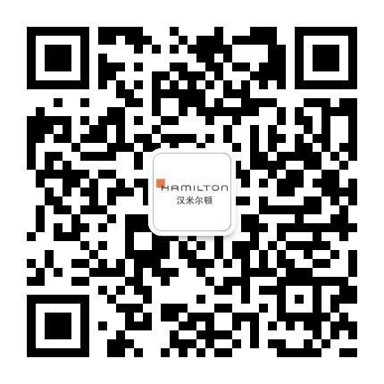 Hamilton Code Box に対する画像結果