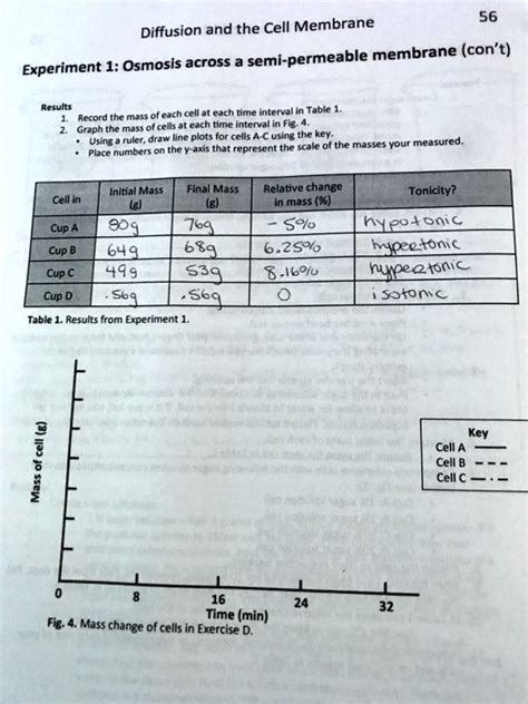 Image result for Cell Membrane Diffusion Lab