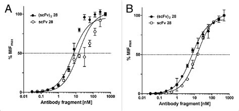 Binding Curve に対する画像結果