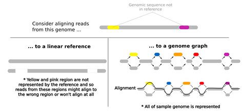 Bioinformatics Alignment Chart に対する画像結果
