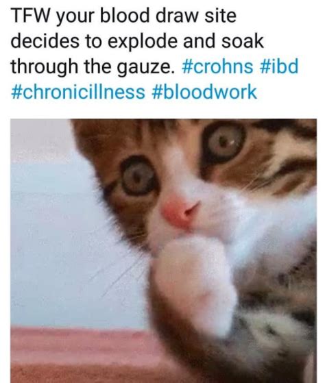 Image result for Blood Loss Meme