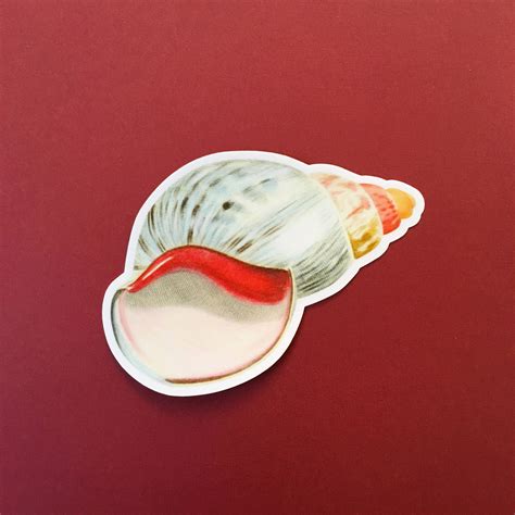 Shell Sticker に対する画像結果