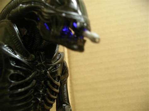 Good Alien に対する画像結果