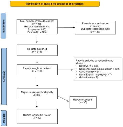Image result for Flowchart Voorbeeld Systematic Review