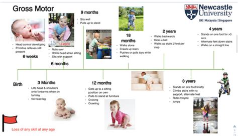 Image result for Normal Child Development Stages