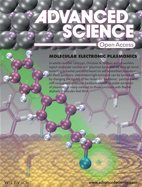 Image result for Advanced Science G Stylios