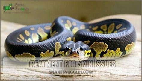 Image result for Ball Python Skin