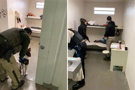 Afbeeldingsresultaten voor Prison Cell Shakedown