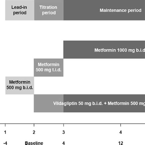 Vision Study に対する画像結果
