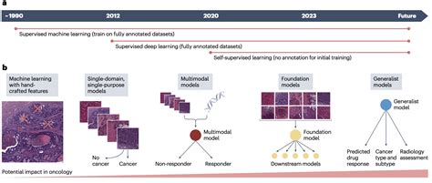 Image result for Multimodal Cancer Machine Learning