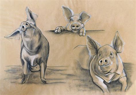 Afbeeldingsresultaten voor Pig in a Python Drawing