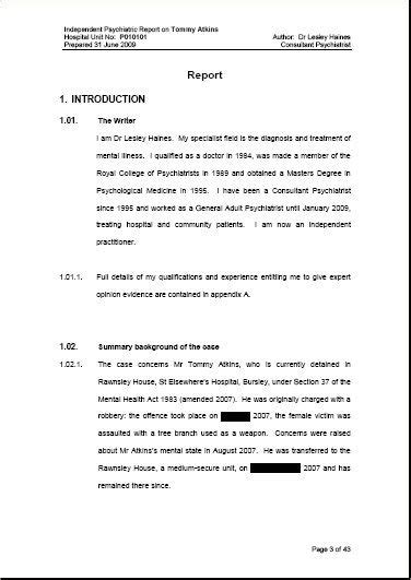 Image result for Witness Report Example