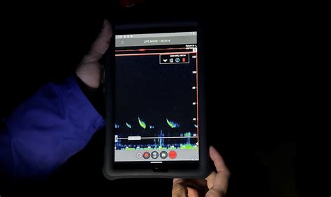 Image result for Bat Program