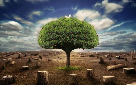 Image result for Spring Forward Native American