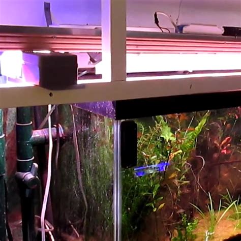 Toradh íomhá ar Arduino Fish Tank
