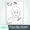 Afbeeldingsresultaten voor ASL Pig