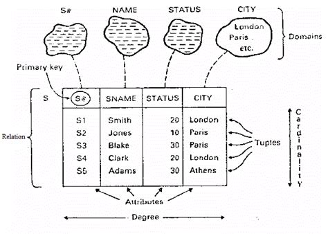 Cardinality Database に対する画像結果