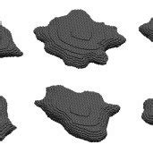 Image result for Random Shape Theory