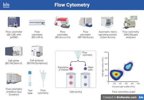 Flow Cytometry Sample Acquisition に対する画像結果