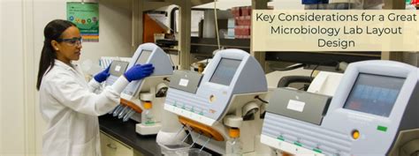 Image result for Microbiology Lab Layout