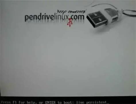 USB Flash Drive Linux Boot に対する画像結果