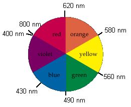 Image result for Complex Colour Wheel