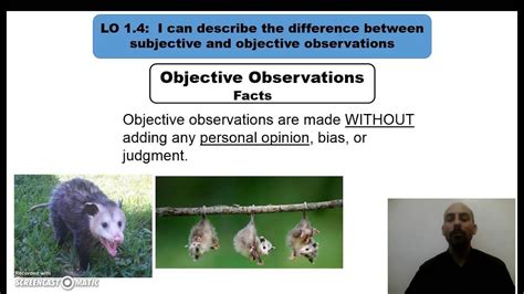 Objective Observation に対する画像結果