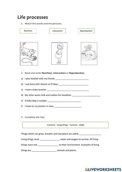 Image result for Live Process Worksheet