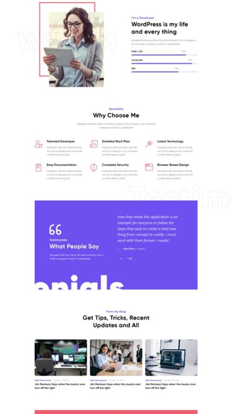 Image result for Portfolio Templates HTML/CSS Computer Profession
