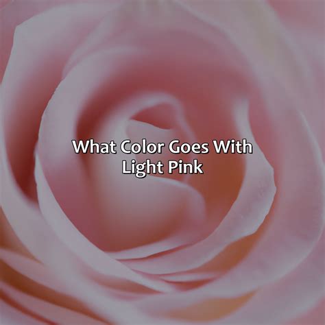 Image result for Negatve Color of Pink