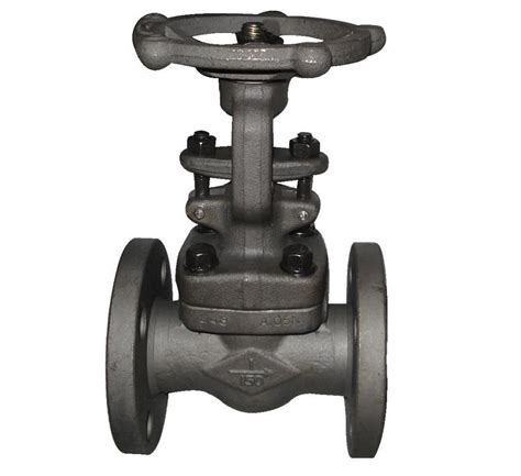 Image result for Forging Gate Valve