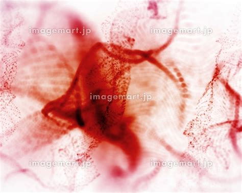 Blood Cover Image に対する画像結果