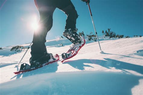 Image result for Picture Written Resource File