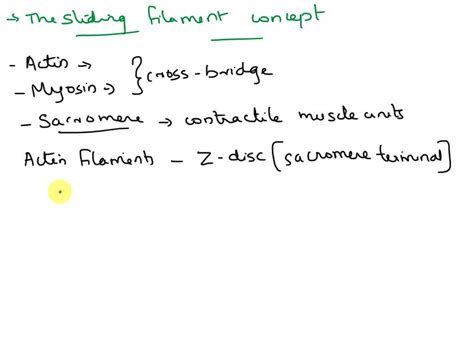 Image result for Sarcomere Contraction Intracellular Calcium