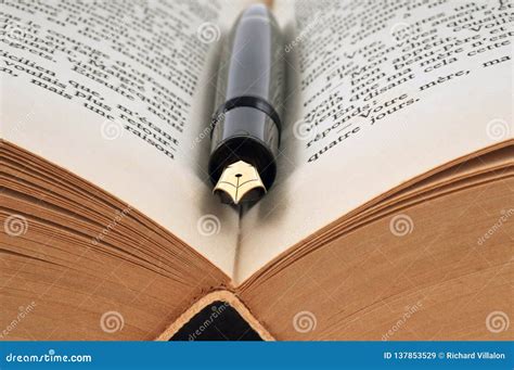 Image result for Fountain Pen and Book