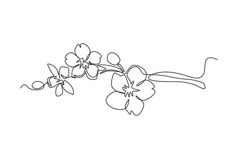 Spring Blossom Picture Line Drawing に対する画像結果